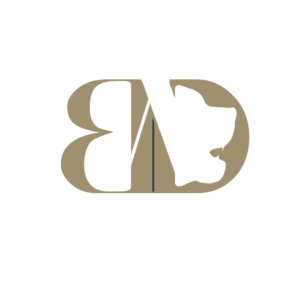 Logo Web Bear Design